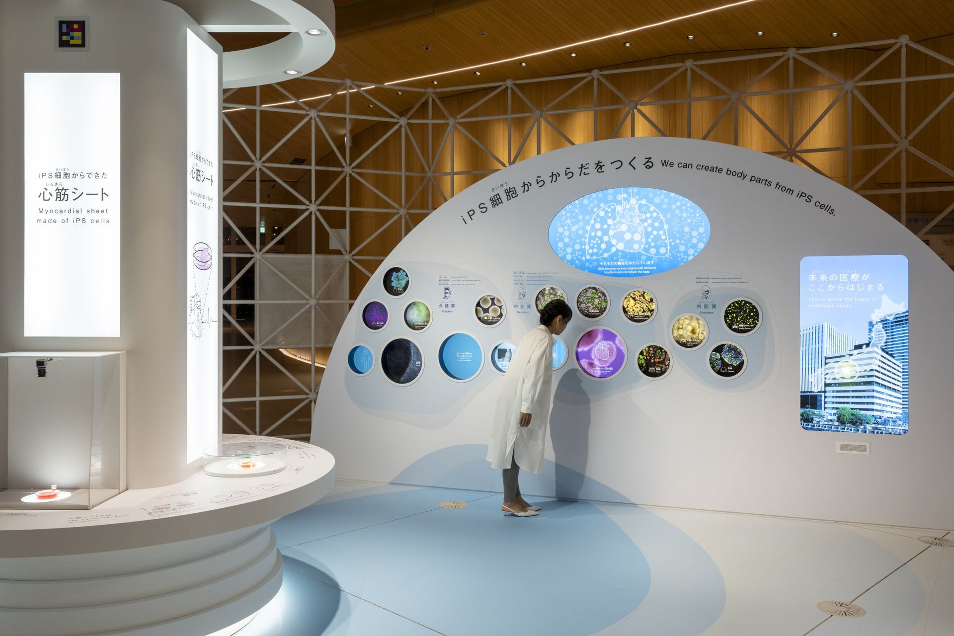 2025年日本国際博覧会　大阪ヘルスケアパビリオン Nest for Reborn「iPS Cells for the Future」5